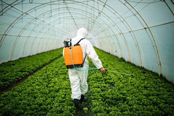 Best Emergency Pest Control  in Glenns Ferry, ID