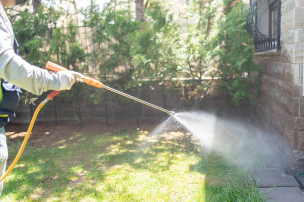 Best Pest Prevention Services  in Glenns Ferry, ID